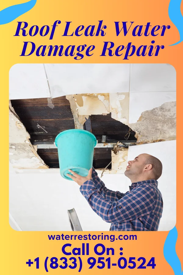 Roof Leak Water Damage Repair in Lewistown Heights, MT